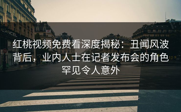 红桃视频免费看深度揭秘：丑闻风波背后，业内人士在记者发布会的角色罕见令人意外